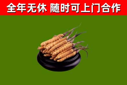 博尔塔拉烟酒回收冬虫夏草.jpg